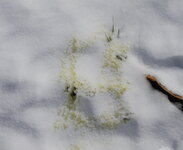 IMGP2834.jpg IMGP2834.jpg