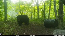 50760504-93EE-4B18-BC5E-688A69F8BD23.jpeg