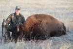 BisonResize.jpg BisonResize.jpg