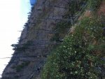 IMG_2189.jpg