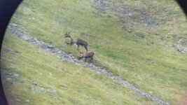 20180815_144428.jpg