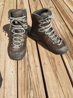 IMG_20220902_145412.jpg