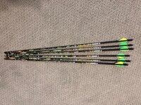 IMG_1369.jpg IMG_1369.jpg