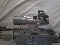 ta33 with holosun 2.jpg