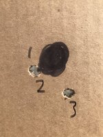CAD3DA2E-435C-4E67-9362-A4FDDB0656F8.jpeg