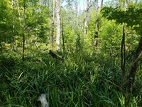 20220620_145340.jpg