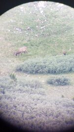 20200728_081535 (1).jpg