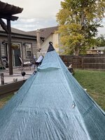 IMG_1920.JPEG