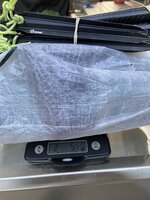 IMG_1923.JPEG