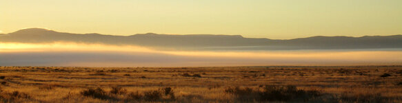 IMG_0113-1.jpg
