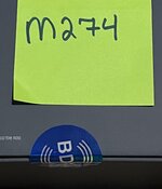 IMG_4769.JPEG