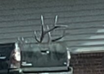 ABE92B35-4A27-48F8-9F06-431D19AC1A8D.jpeg ABE92B35-4A27-48F8-9F06-431D19AC1A8D.jpeg