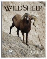 Wild Sheep-Summer 2022-Toktomat_Page_1.jpg