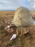 thumbnail_IMG_5670 - Copy.jpg