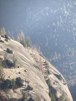 130D3C6E-2619-406D-B712-D3052E0CE50B.jpeg