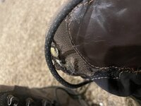 IMG_4287.jpeg
