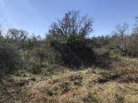 F047100B-1050-474F-BF50-6C38E8E800B5.jpeg F047100B-1050-474F-BF50-6C38E8E800B5.jpeg