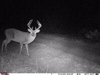 42FBCB8C-7ACA-4C81-B35C-2EB8E0CCE5C5.jpeg 42FBCB8C-7ACA-4C81-B35C-2EB8E0CCE5C5.jpeg