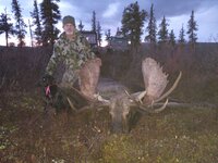 MVs 61 bull.jpg