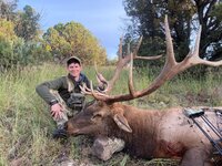 NM Bull RS Photo Submission.jpg