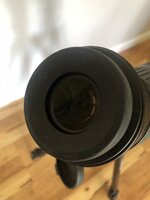 E787EA28-3488-4A23-BA72-47FC073ED6B0.jpeg