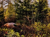 20220923_075245~2.jpg