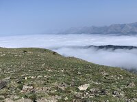 IMG_1280.JPG
