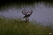 02-IMG_6812.JPG