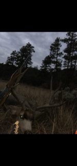 Screenshot_20220930-074445.png Screenshot_20220930-074445.png