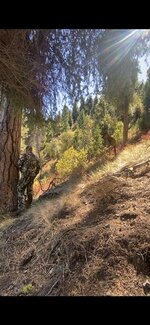 453E9B61-1570-462E-A0C3-936C91C9AA77.jpeg