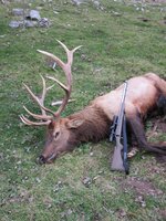 IMG_0022 (Large).JPG