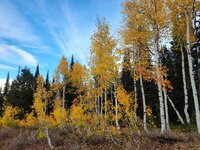 20221002_074158.jpg
