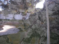 IMGP4328.JPG