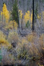 _DSC0326 (2).JPG.3.JPG