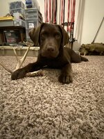 89033642-8C4E-4407-A628-DD0032D7BCE5.jpeg