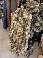 IMG_2589.jpeg