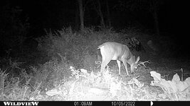 WLD_0150.JPG WLD_0150.JPG