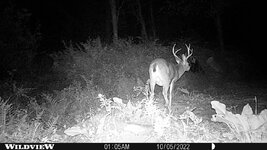 WLD_0129.JPG WLD_0129.JPG