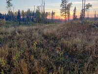 IMG_20221001_185647.jpg