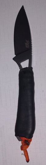 IMG_20221008_124411470~2.jpg