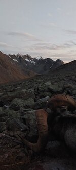 20220912_203535.jpg