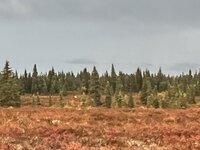 IMG_6549.jpeg