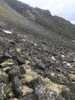 IMG_0779.JPG IMG_0779.JPG