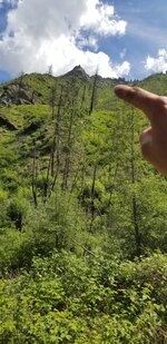 20220607_150051.jpg