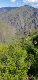 20220607_111856.jpg