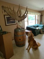 20200909_120945.jpg