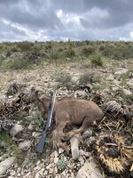 IMG_4013[1].JPG