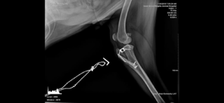 9D30F195-54C9-4B50-93CD-DEBFAD2CF8A1.png