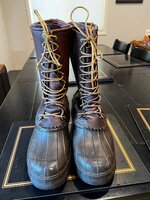 IMG_2834.jpeg IMG_2834.jpeg