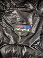 PXL_20221017_151709244.jpg